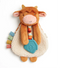Lovey plush and teether toy, baby teething toy sensory toy