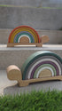 Rainbow Turtle - Day