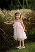 Celia dress in Pink