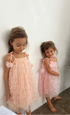 Celia dress in Peach
