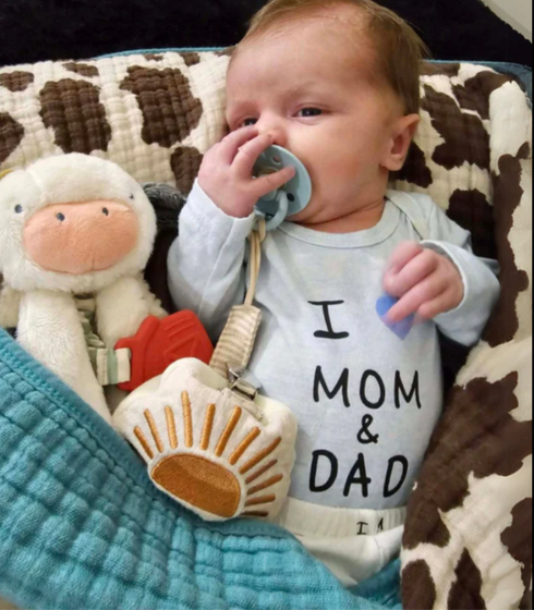 Itzy Lovey Plush And Teether Toy - Cow