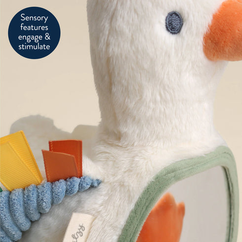 plush toy, sensory toy, tummy time toy