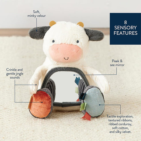 Sensory Tummy Time Mirror Toy