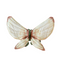 Fairy Wings - Cream
