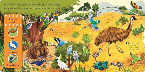 Beautiful Birds Board Book