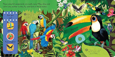 Beautiful Birds Board Book