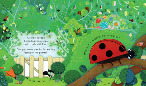 Picture Books - Peep Inside: The Garden