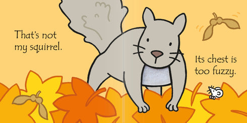 Picture Books - That's not my Squirrel