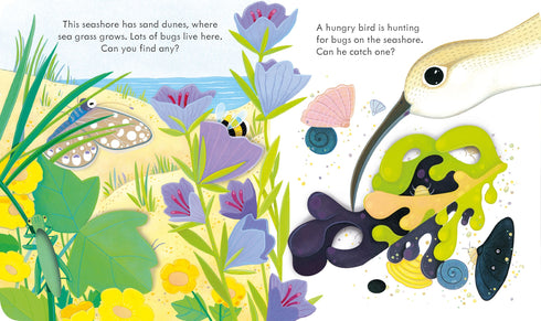Pictures Books - Peep Inside: The Seashore