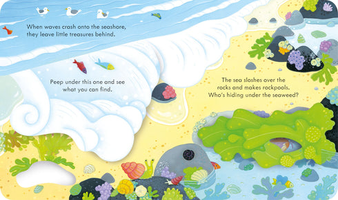 Pictures Books - Peep Inside: The Seashore