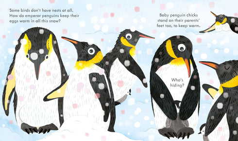 Picture Books - Peep Inside: Birds Nest