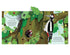 Usborne Pop-up Nature