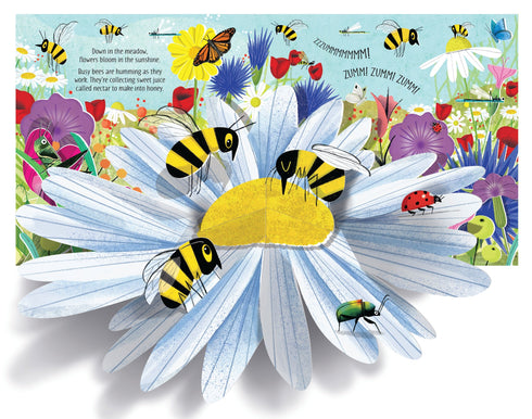 Usborne Pop-up Nature