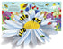 Usborne Pop-up Nature