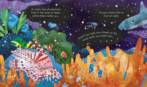 Picture Books - Peep Inside: Coral Reef