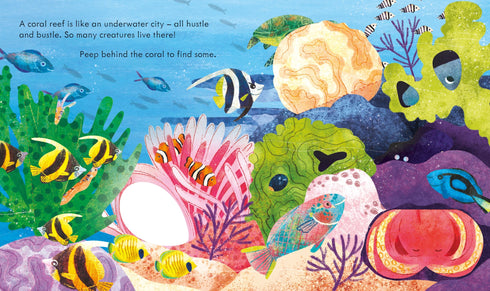 Picture Books - Peep Inside: Coral Reef