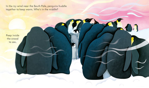 Picture Books - Peep Inside: Snowy Places