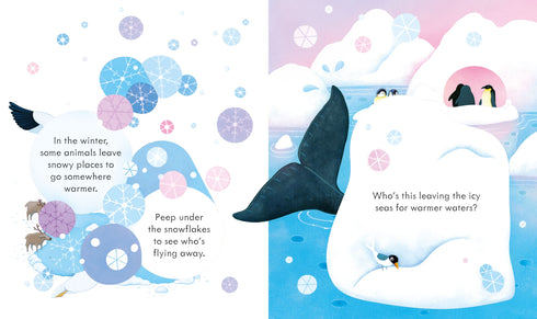 Picture Books - Peep Inside: Snowy Places