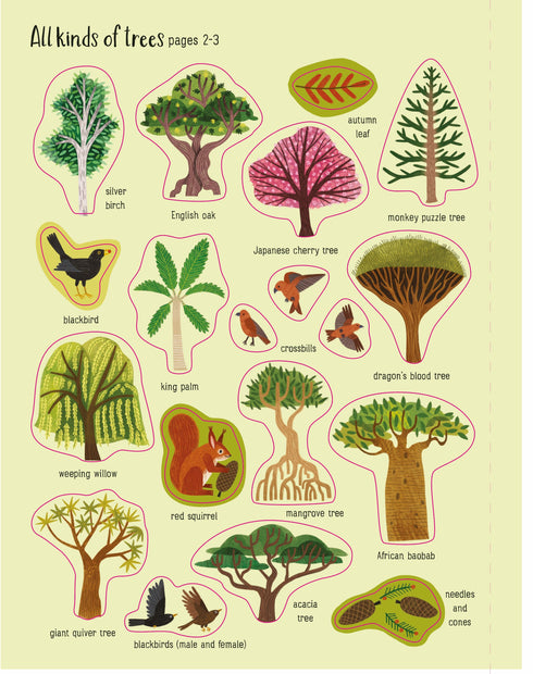 Illustrations of various trees with labels on a beige background