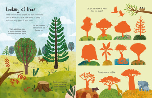 Illustrated book page about trees with different tree types and a landscape.