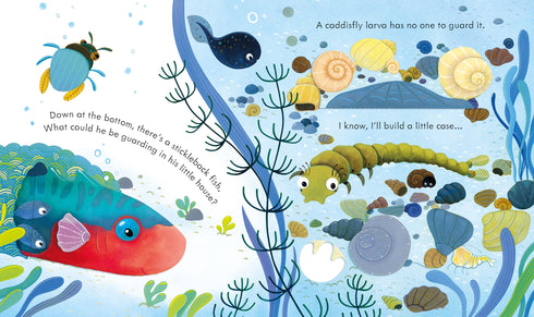 Picture Books - Peep Inside: The Pond