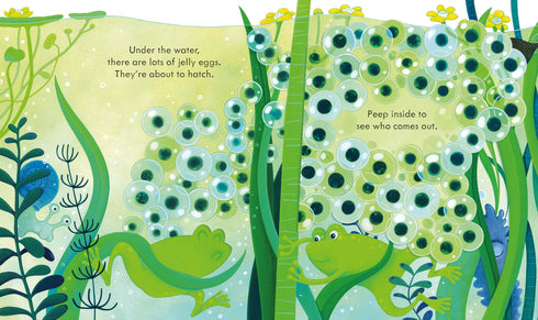 Picture Books - Peep Inside: The Pond
