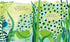 Picture Books - Peep Inside: The Pond