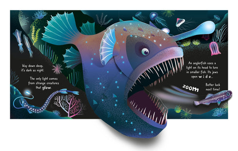 Usborne Pop-up Ocean