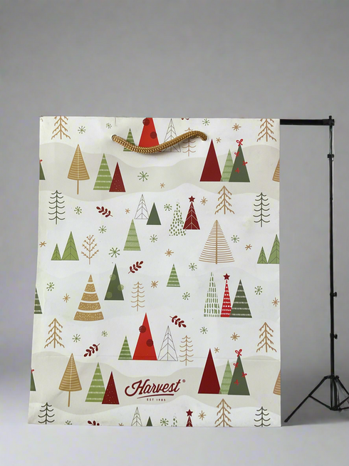 Gift Bag Triangle