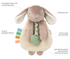 Itzy Lovey Plush And Teether Toy - Bunny