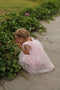 Pink Tulle dress with fairy wings