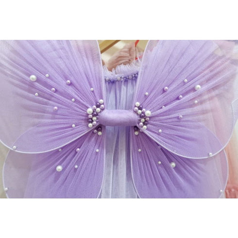 Fairy Wings
