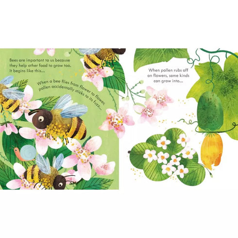 Picture Books - Peep Inside: A Beehive
