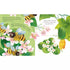 Picture Books - Peep Inside: A Beehive