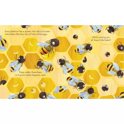 Picture Books - Peep Inside: A Beehive