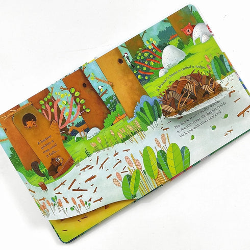 Pictures Books - Peep Inside: Animal Homes