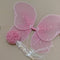 Fairy Wings