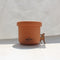 250ml Food Container in Brown