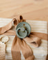BIBS Colour pacifier in Sage tied to a gift with a ribbon