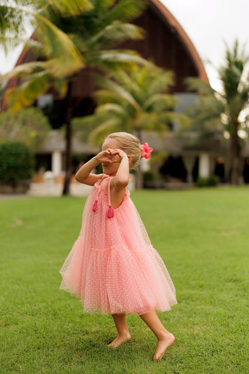a light pink sleeveless tulle dress with tassel details.