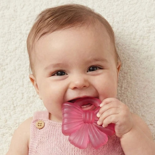 gum soother teether, teether toy